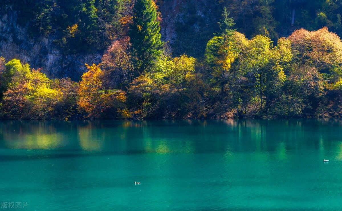 成都旅游攻略五天自由行多少钱,四川成都旅游攻略五日游多少钱