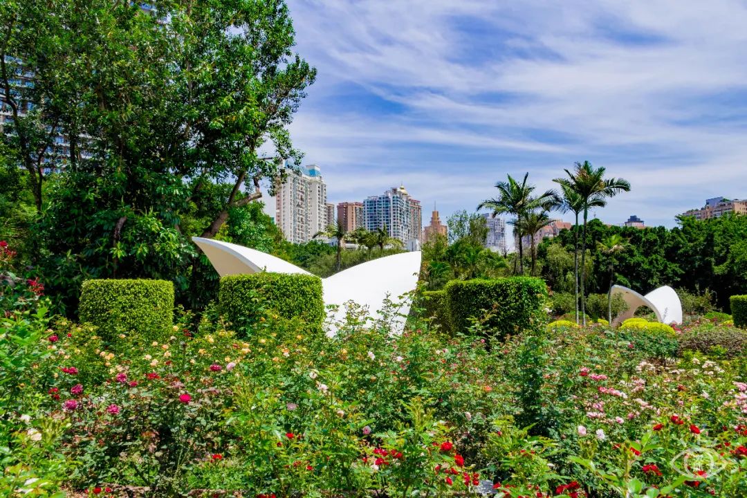 地铁深圳一号线哪里好玩,深圳1号线营业时间