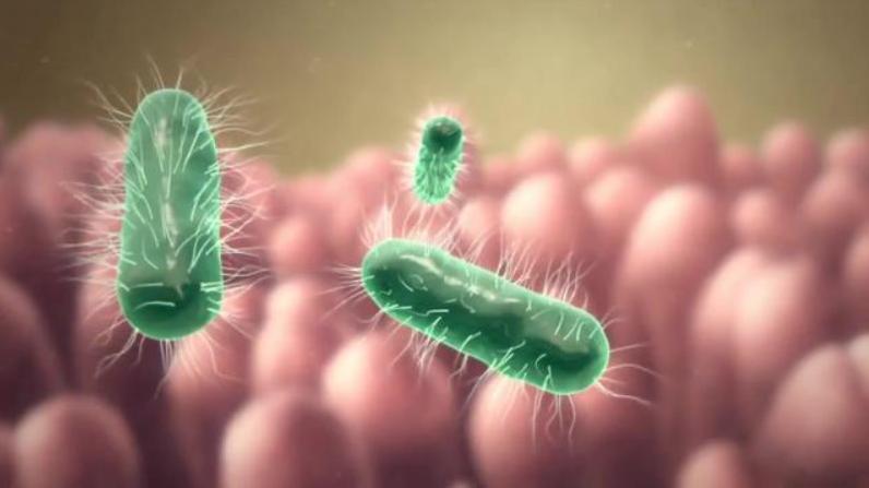 阿莫西林都是消炎药吗,阿莫西林是最好的消炎药了吗