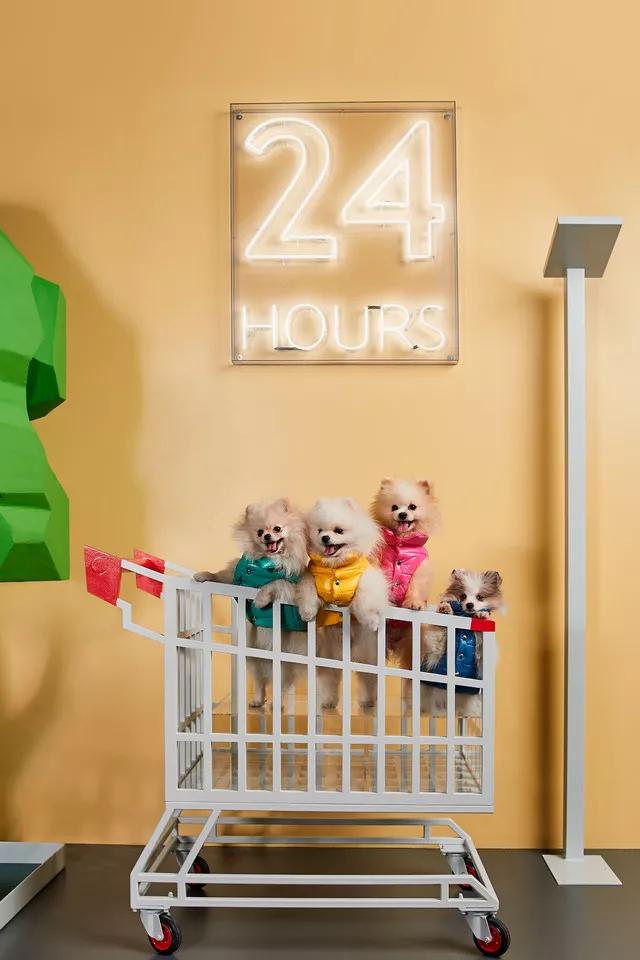 上万元加拿大鹅羽绒服网店仅售50,moncler经典款羽绒服