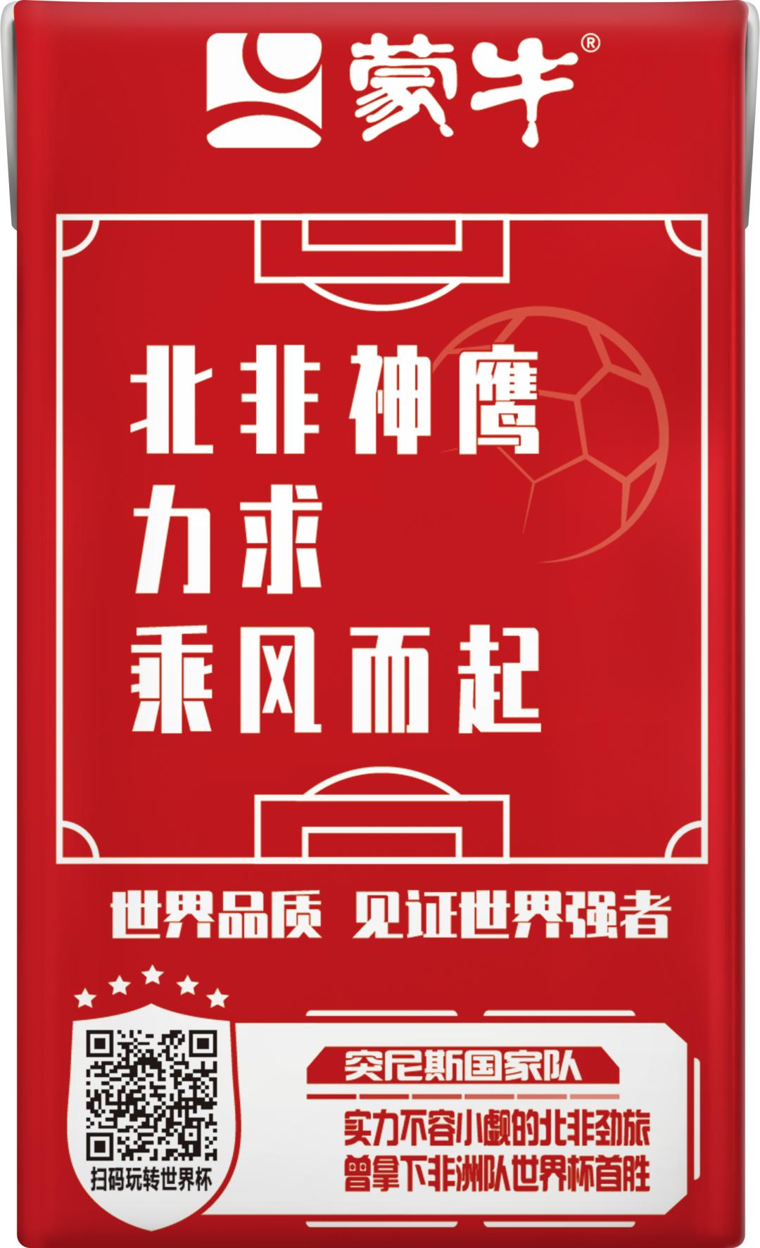 世界杯队长手记,世界杯队长纪录片葡萄牙