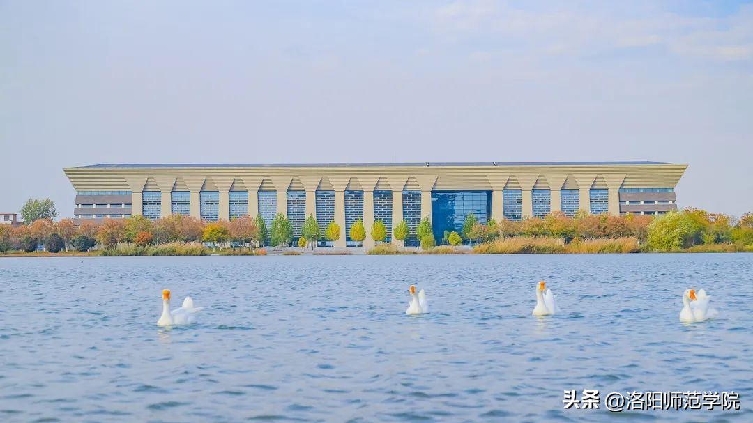 欢迎报考！选择洛师的N个理由