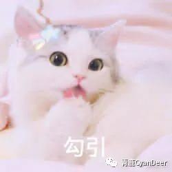 群魔乱舞乱象,群魔乱舞乱象丛生