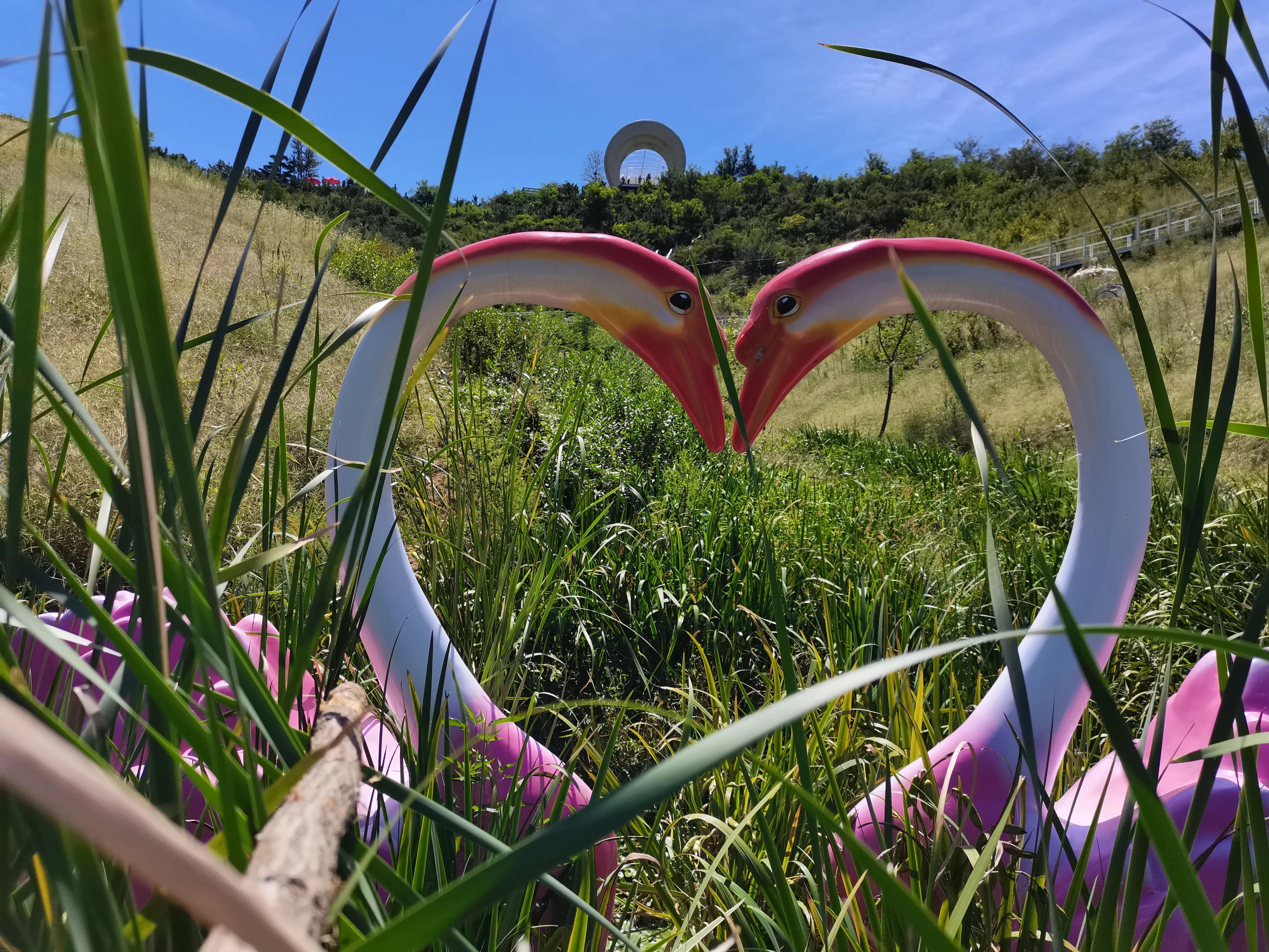 博山131路公交能到三水源景区吗,博山一日游免费景点攻略路线