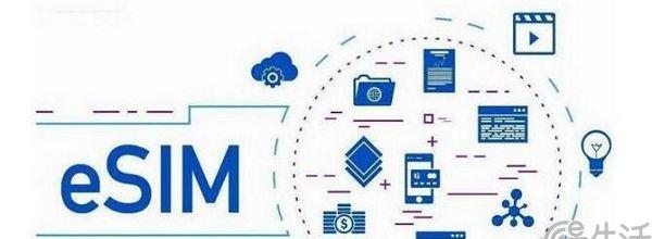 esim智能手表能插sim卡吗,智能手表esim卡可以不启用嘛