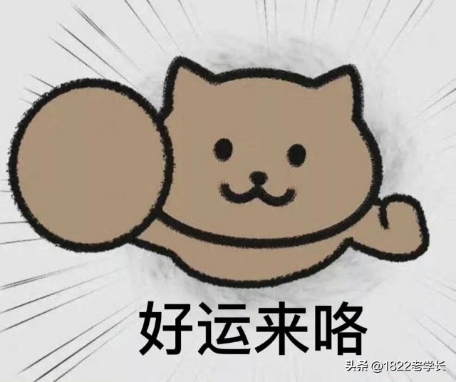 最好的贵族大学排名,中国最好的私立贵族大学985