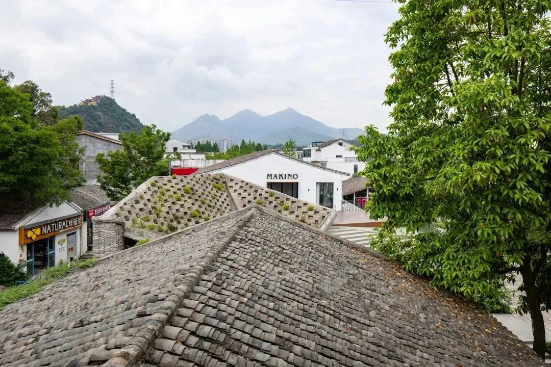 推进乡村振兴留住乡韵留下乡愁,最美乡村建筑
