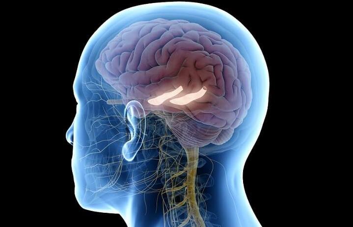 这种短视频也是灰产，旨在揭秘