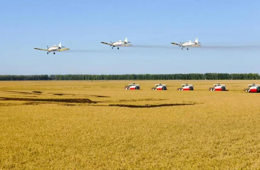 北大荒为什么退林还耕,北大荒当年咋样开垦的