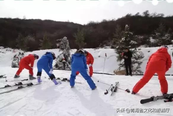 青海省明春文化旅游活动,新年游玩青海