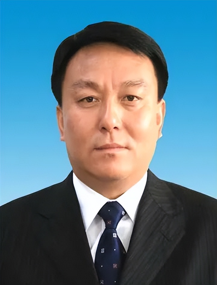 张务锋、徐鸣、徐宝义、胡东胜、朱玉文、辛敏超、杨随亭、张天喜、顾艳华，专项整治开展后被捉的“硕鼠”们