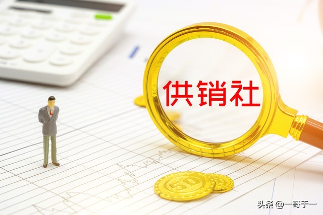 改革开放供销社,改革开放以来采购