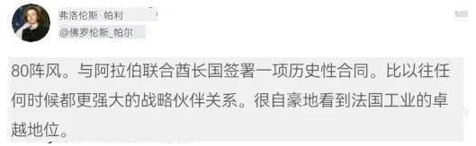 阿联酋购买阵风战斗机,阵风战机阿联酋大单