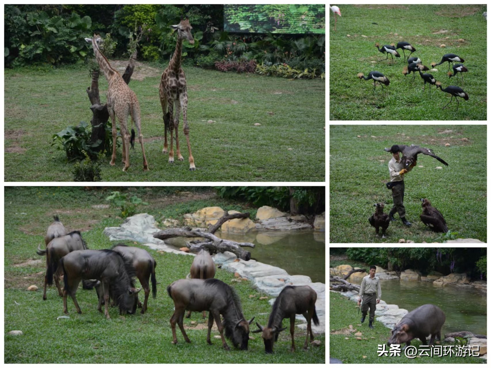 探寻广州历史,广州市羊城的来历