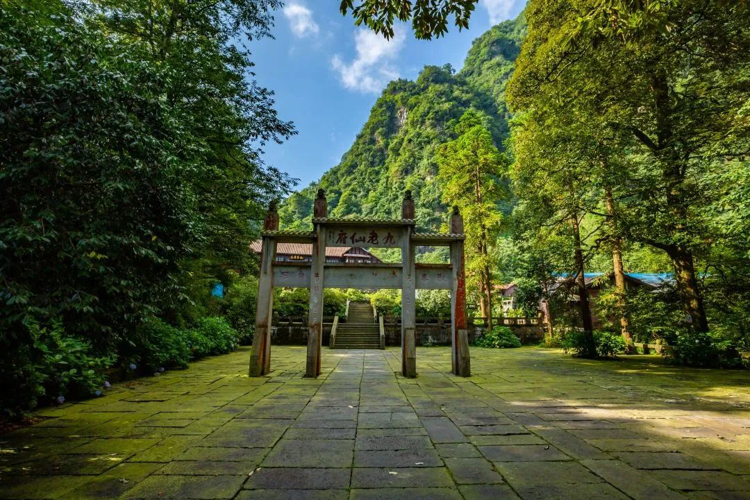 峨眉山毕业旅行主题,大学生独游峨眉山