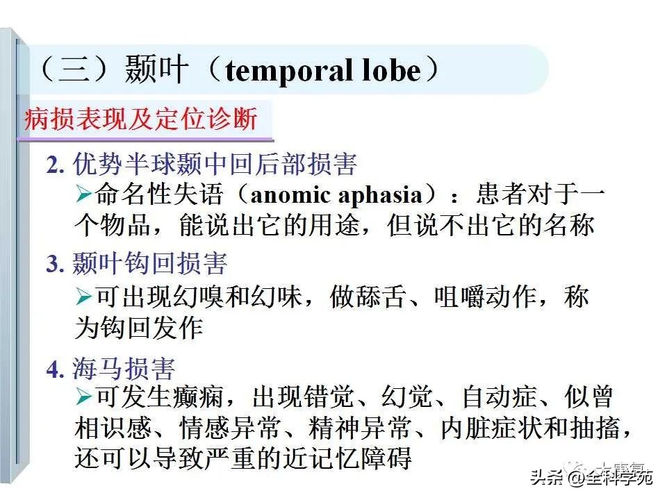 神经系统的影像与解剖定位,最全神经解剖图