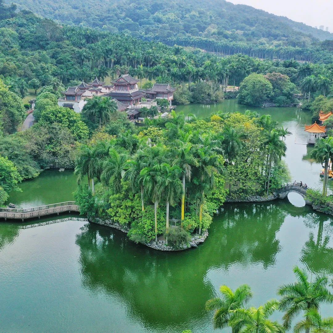 地理冷知识广西,广西南宁冷知识