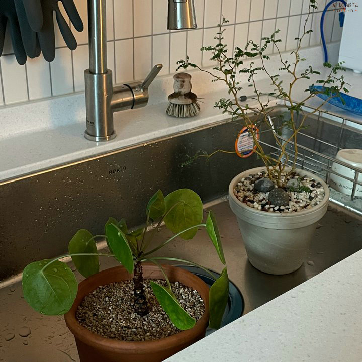 高度自律的生活是什么样的,高度自律生活