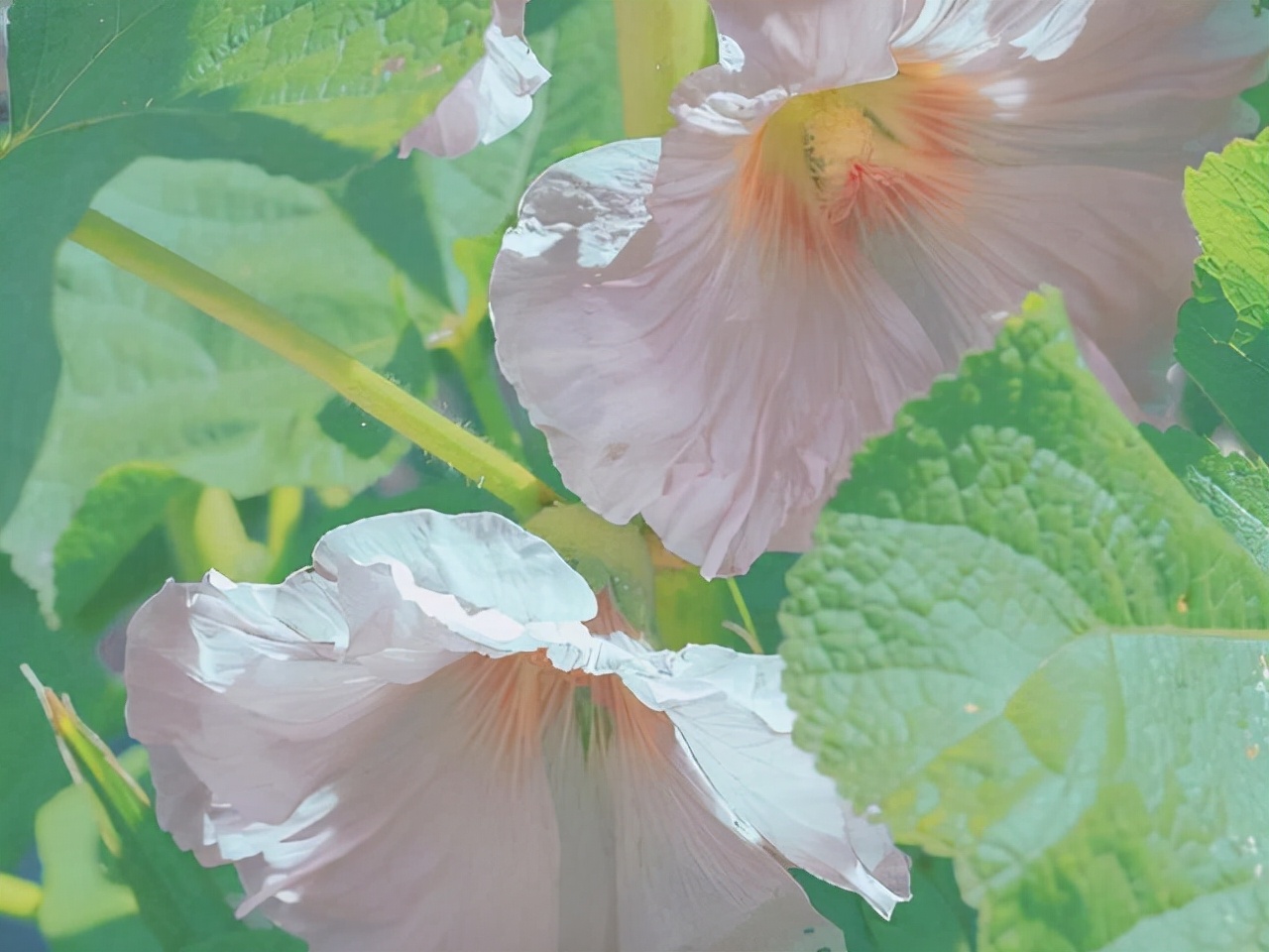 白羊座性格优势及弱点分析,白羊座优点大集合