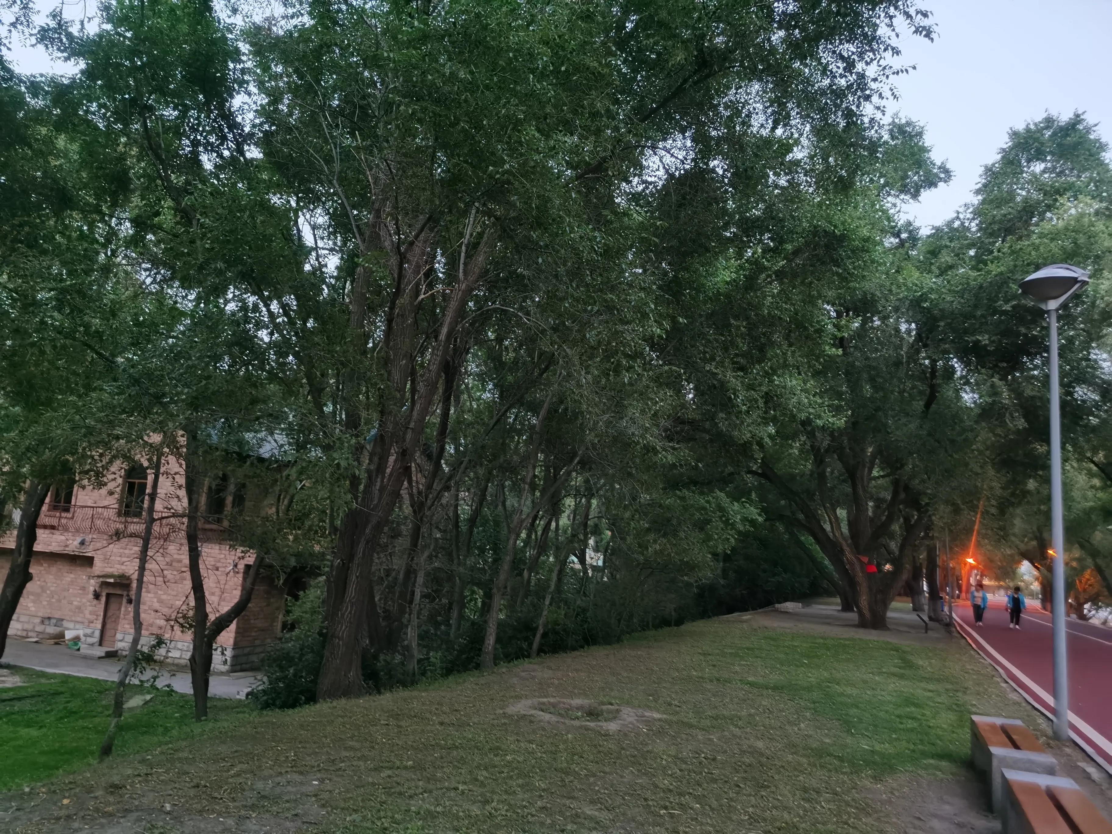 哈尔滨太阳岛一日游详细攻略,哈尔滨太阳岛风景区