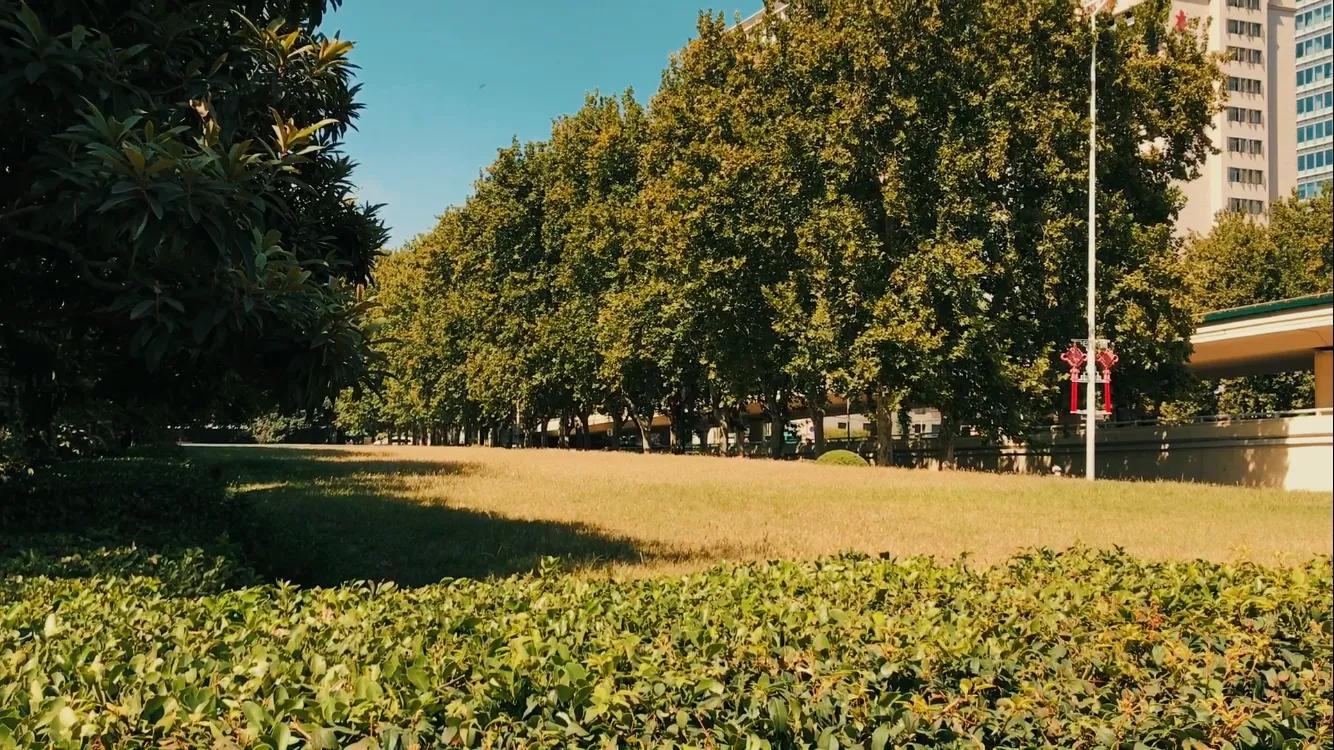 郑州八大古都是谁提的,郑州最好的商代遗址