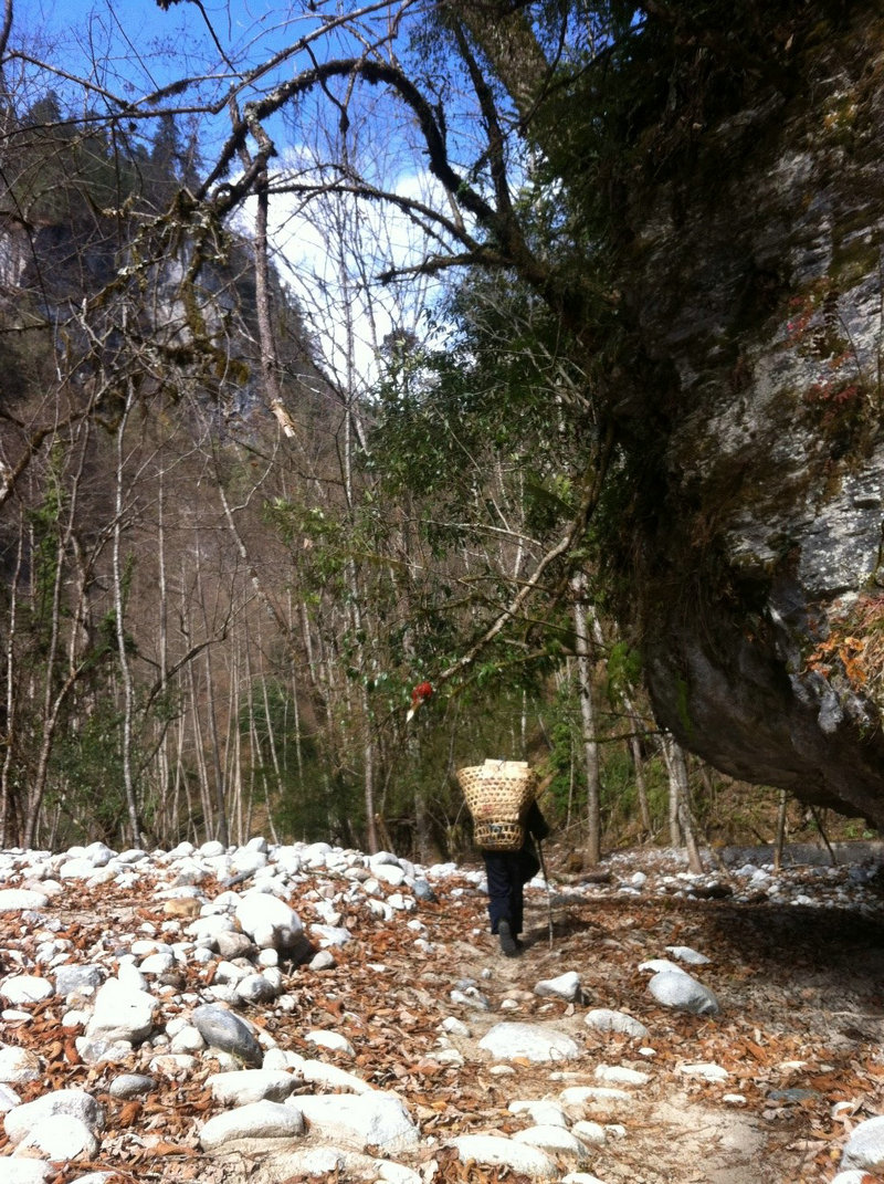 纹面女在独龙江哪个村落,寻找脸部有胎记的女人