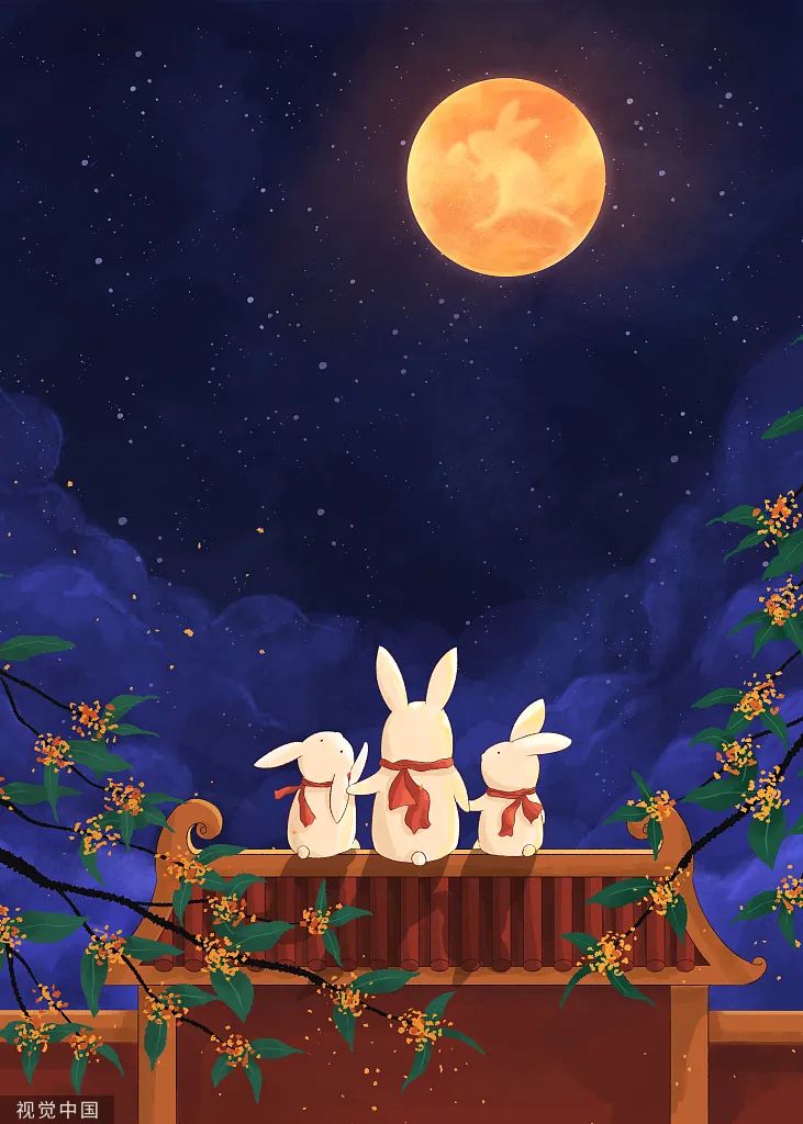 原来,你是这样的兔兔!