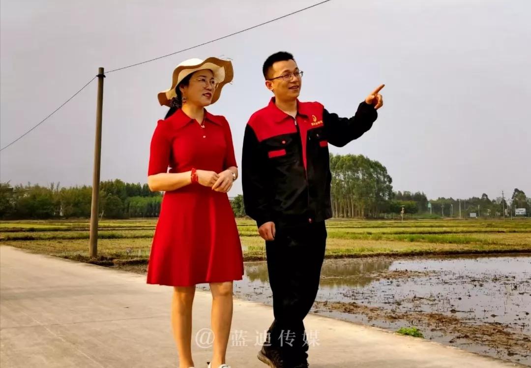 农联助力乡村振兴,联农助农乡村振兴