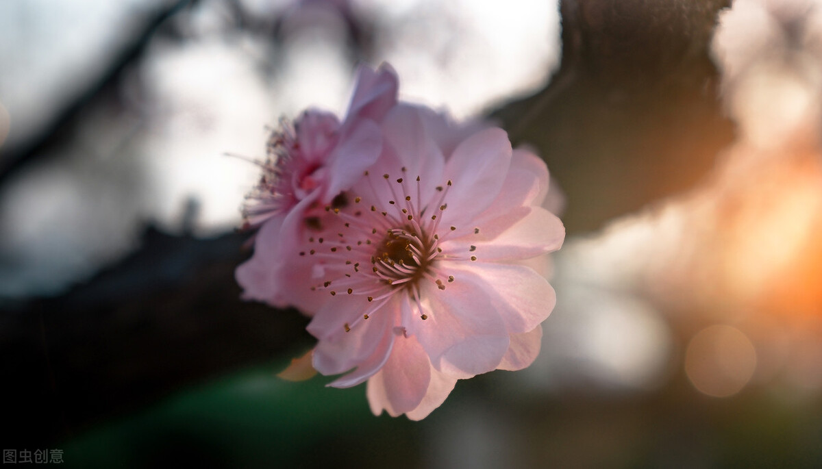 男人非你不娶的征兆,男人觉得非你不娶的表现有什么