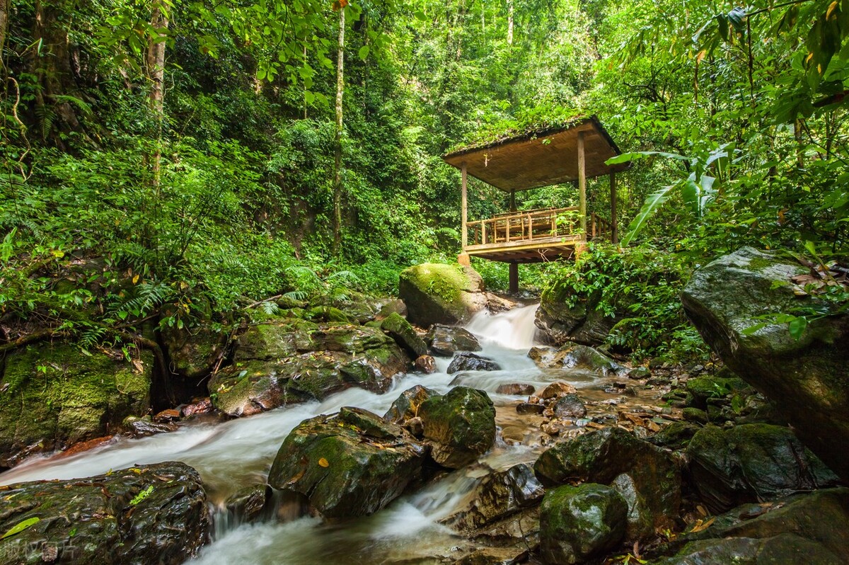 云南除了西双版纳哪里还适合过冬,西双版纳景洪避寒的地方