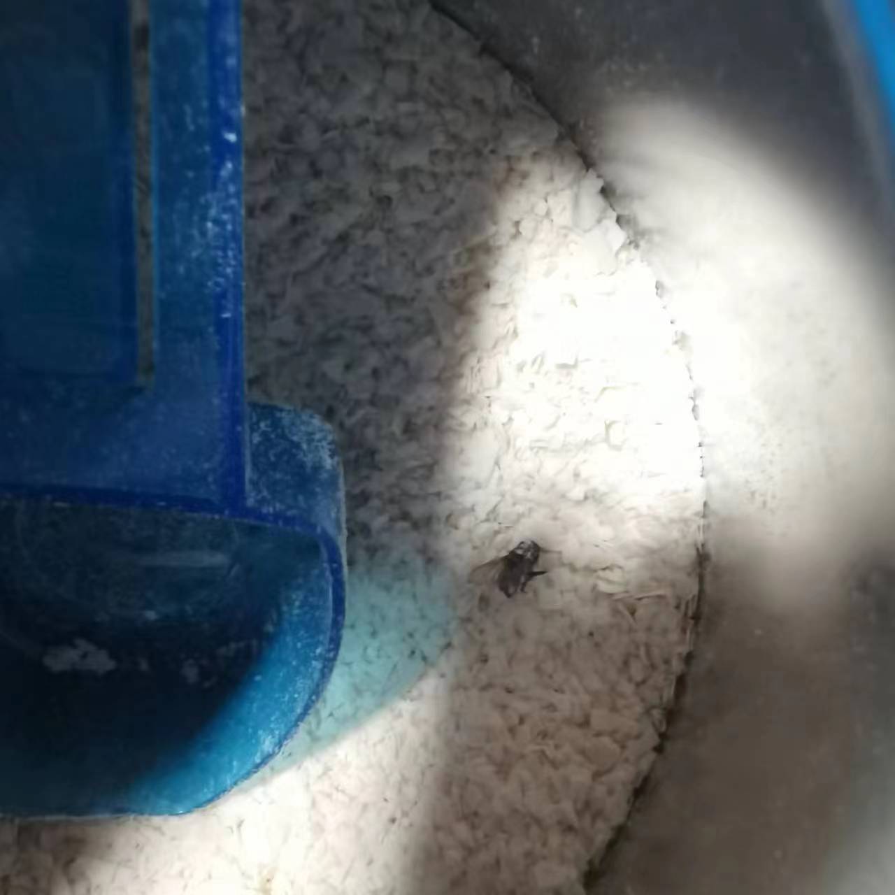 国产嘉宝米粉重金属超标真的假的,嘉宝米粉国产有问题还能吃吗