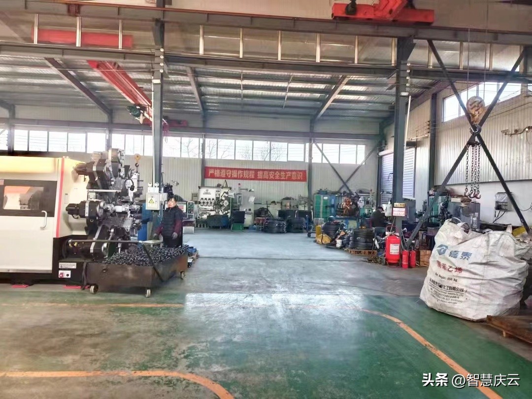 鸿雁归巢助力乡村振兴,鸿雁助推乡村振兴