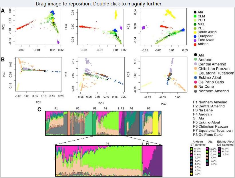 疑似外星生物遗骸,不明外星人遗骸曝光