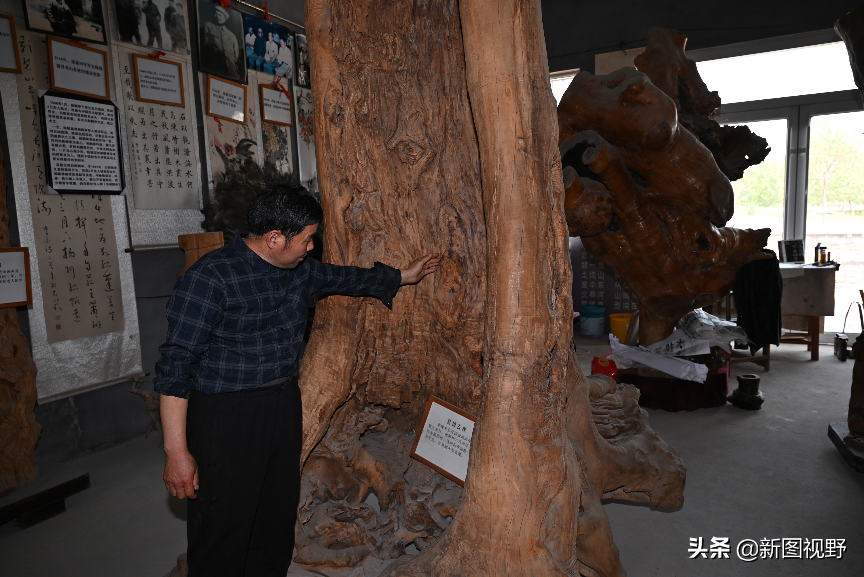 54岁农村大哥，把枯木当宝贝，13年来只收不卖，看他做啥生意