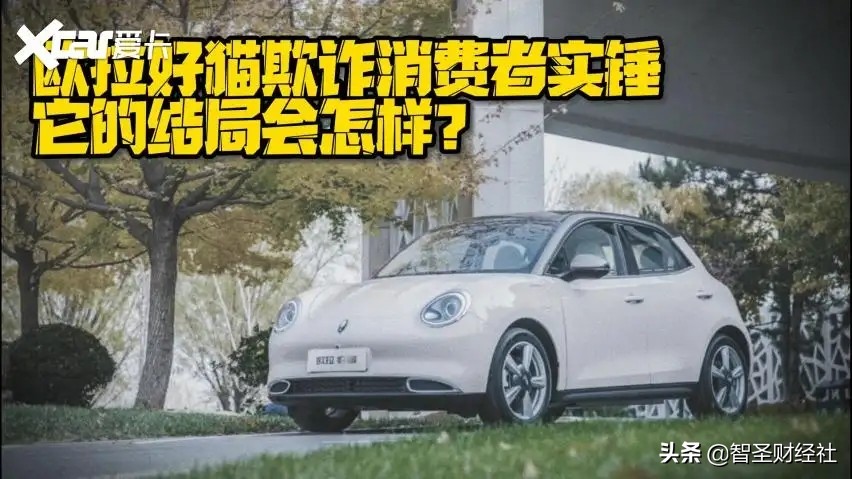 长城汽车，这次把锅甩给了国家劳动*法大**