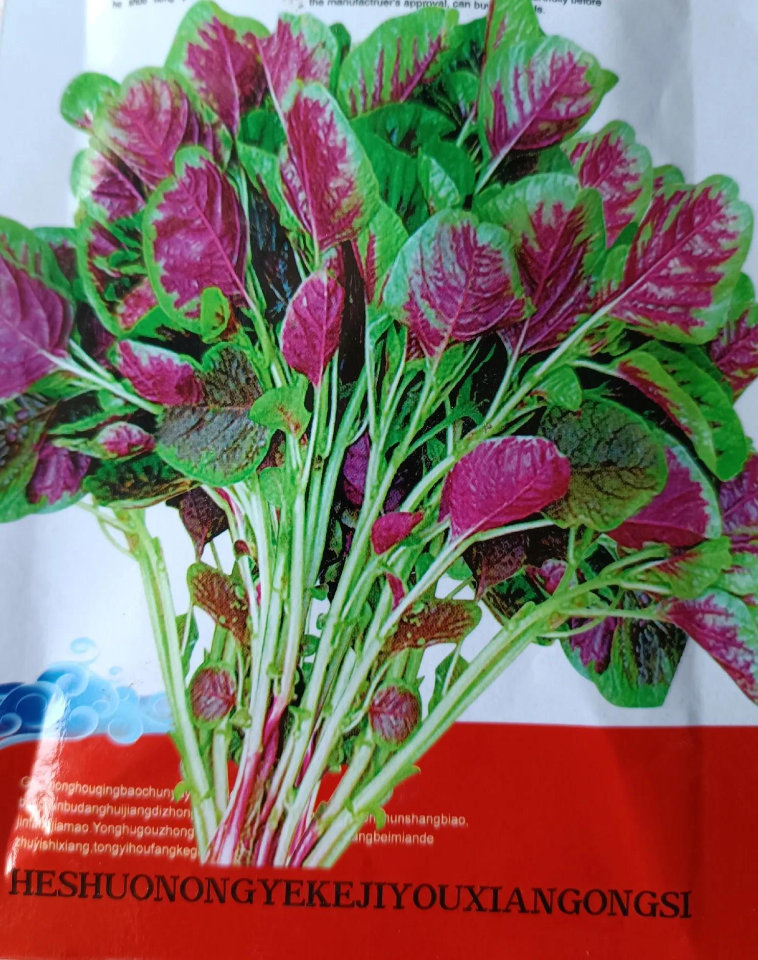 适合4月份种植的蔬果 (四月份适合种什么蔬果)