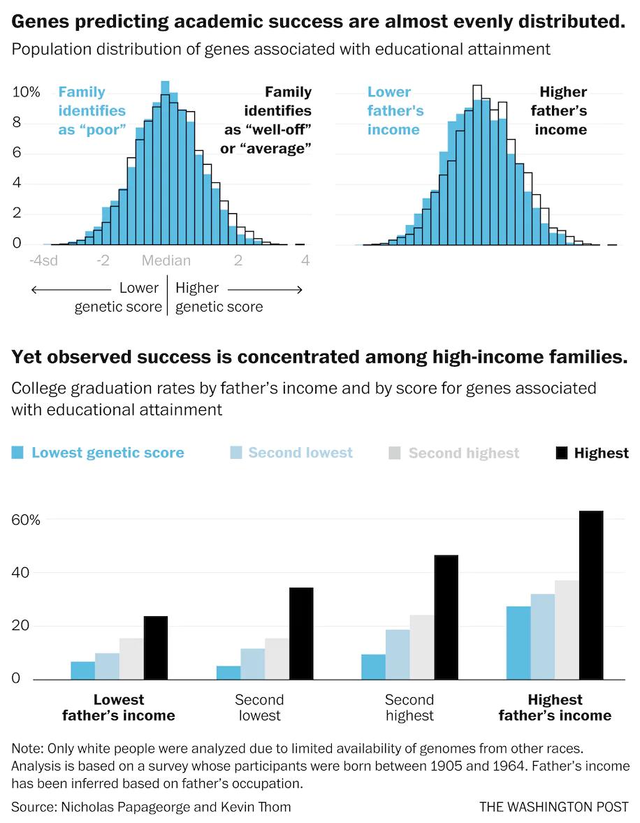 北美教育军备赛，人人都要赢，普通家庭孩子怎么胜出？