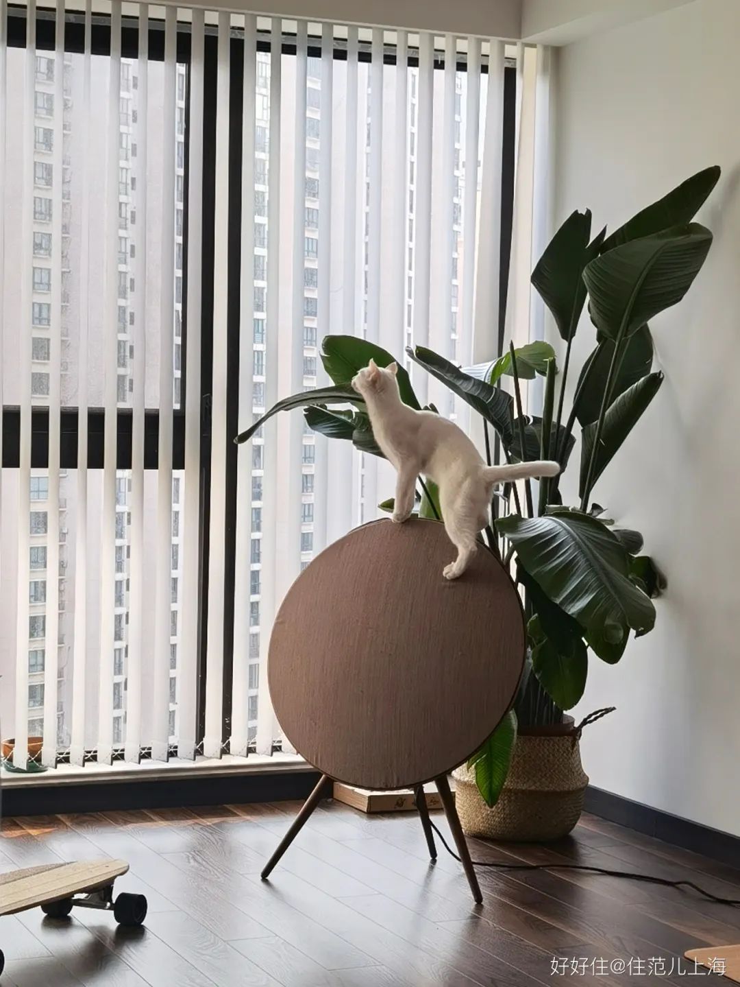 10万打造日式原木风,独居女孩的温馨小屋原木风