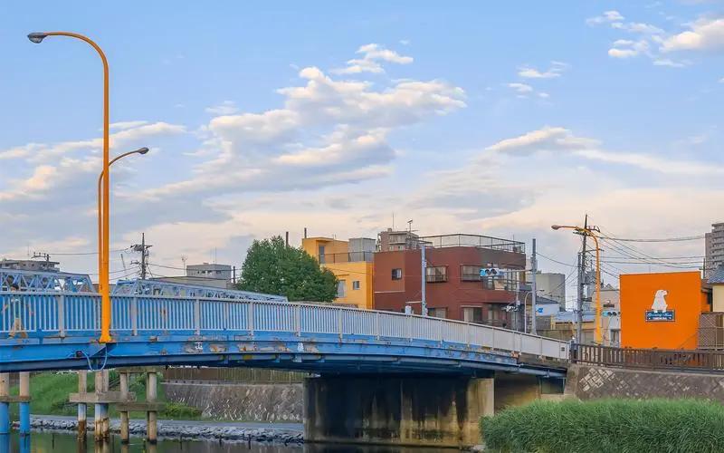 进口消费税和关税计入成本吗,日本进口食品的关税