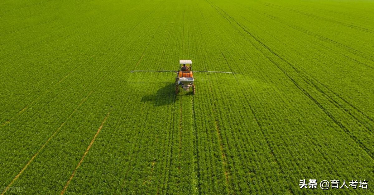 农业资格证书怎么考取,农业技术要考什么证书