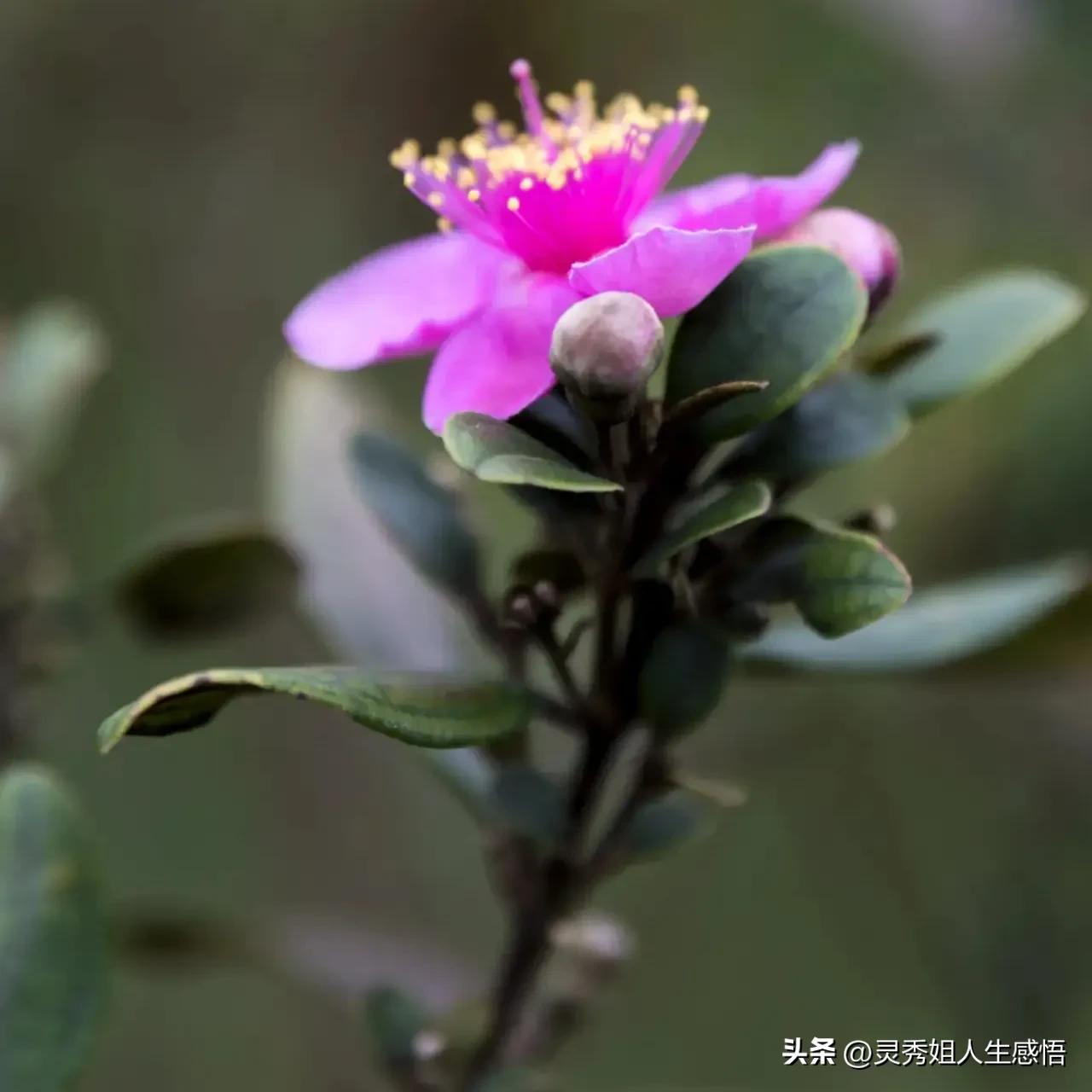 学粤语办法,学粤语的方法和技巧