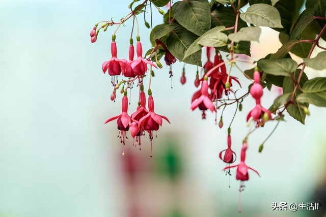 当别人把你当傻子时你该怎么办,面对一个傻子不要拆穿他