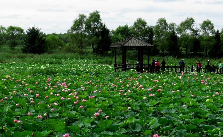 黑龙江景点小众,黑龙江冷门景点