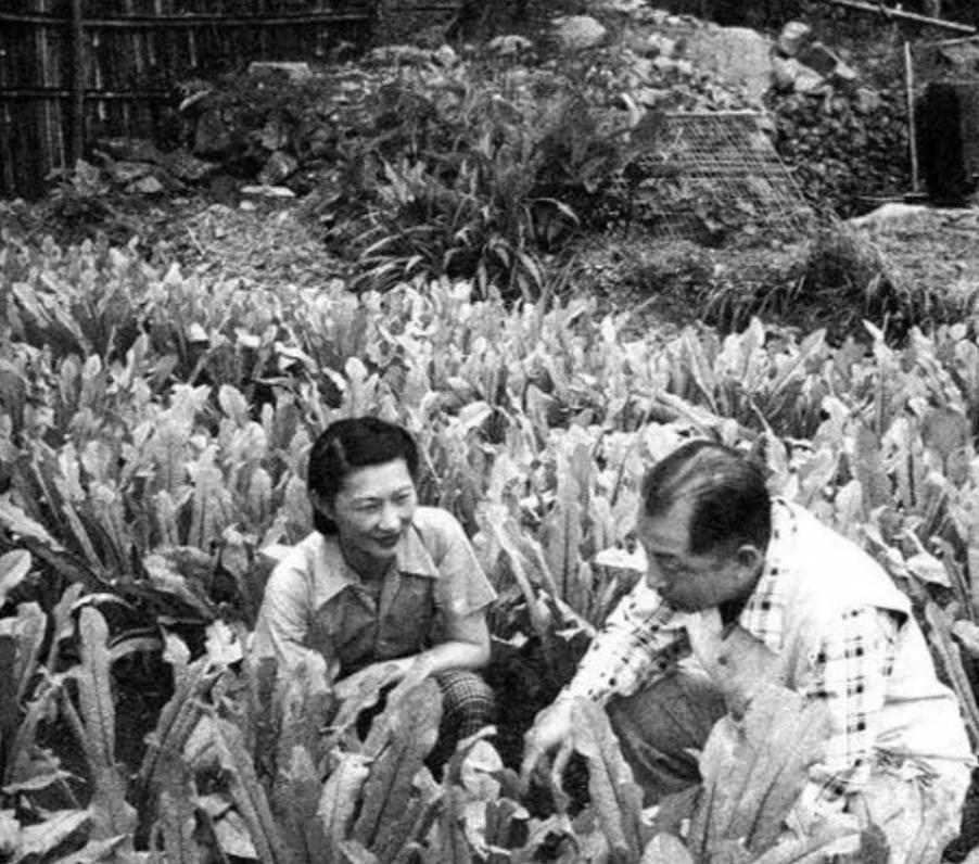 张学良赵四小姐真实照片,赵四小姐有多爱张学良