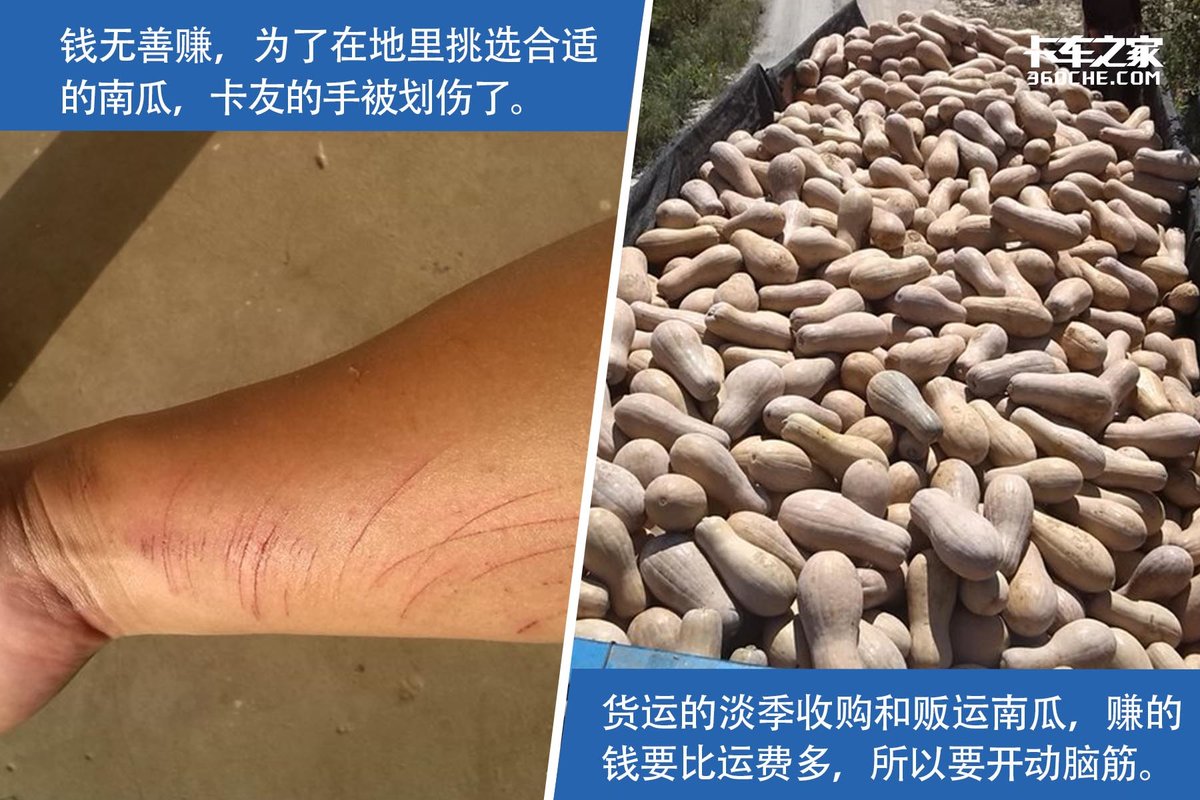 围绕卡车另辟蹊径！看看那些转型成功的卡友不再纠结运费