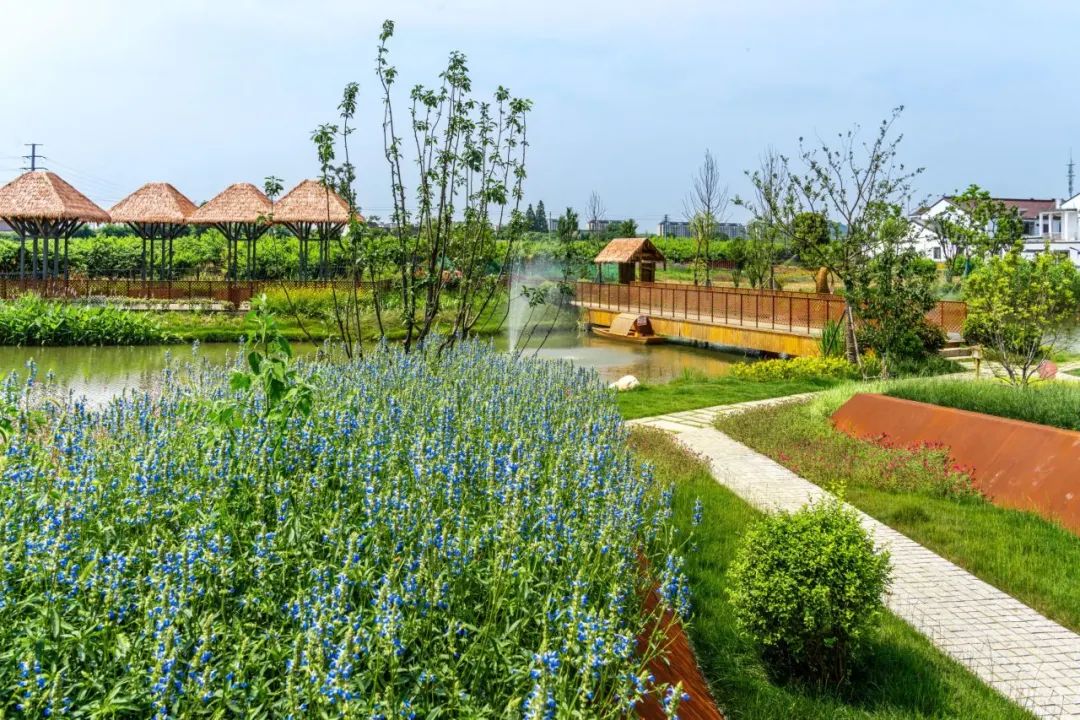 江苏省特色田园乡村名单公布,省级特色田园乡村标准