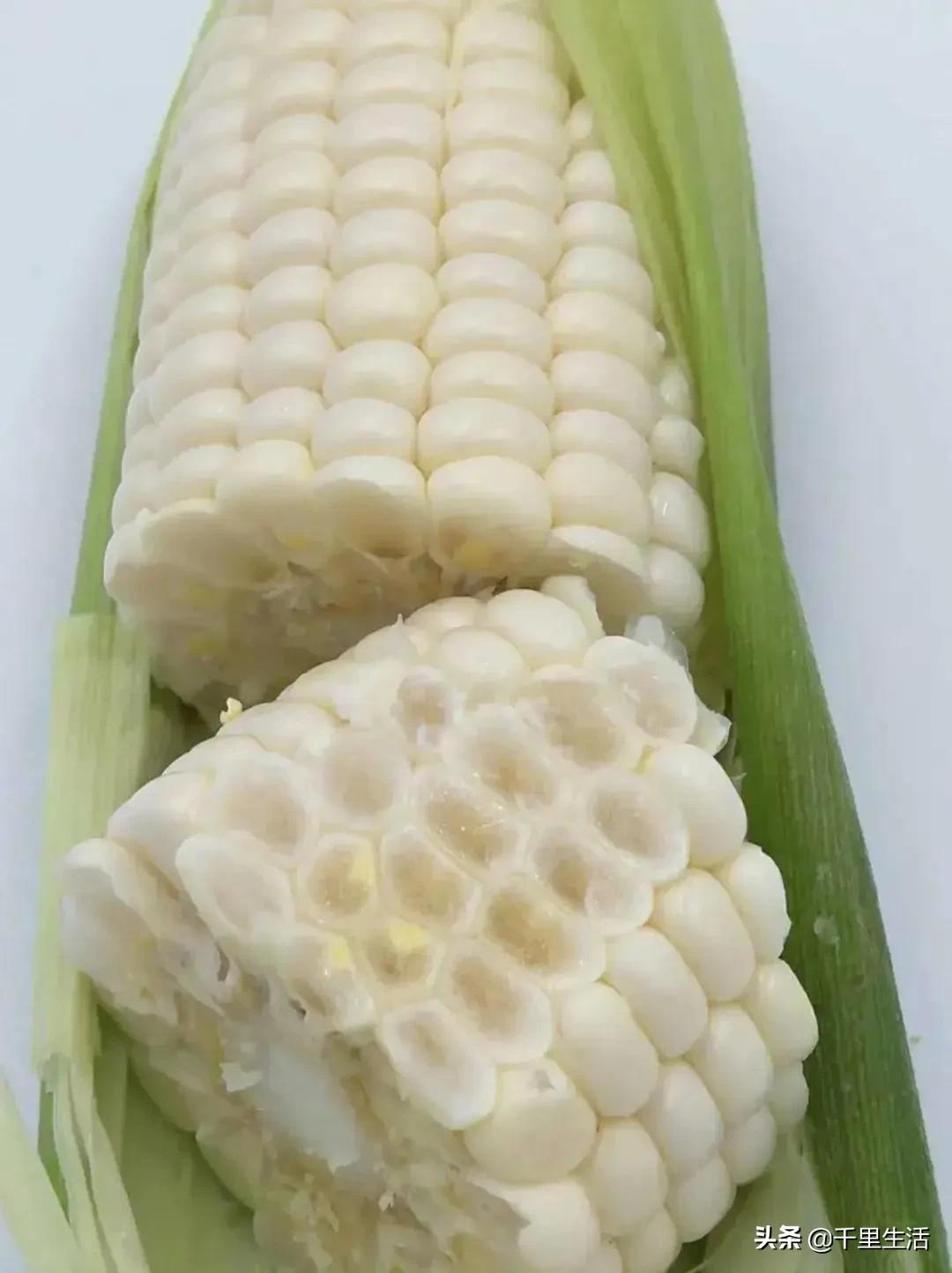 玉米界的“爱马仕”，一*爆口**浆，简直停不下来