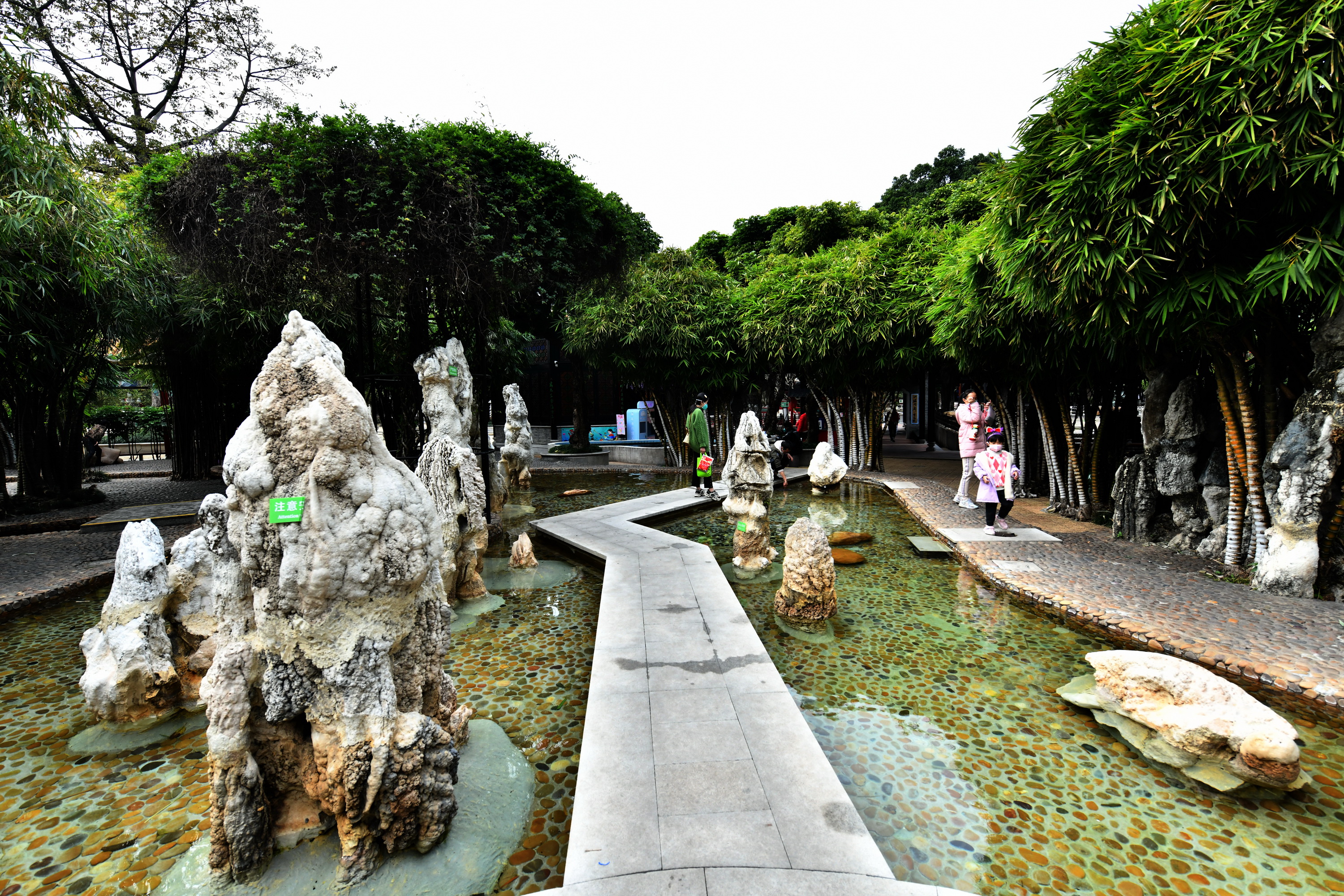 广州市番禺区宝墨园攻略,广州宝墨园景观