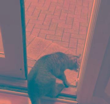 你不知道的历史上最惨烈的战争,你不知道的二战史