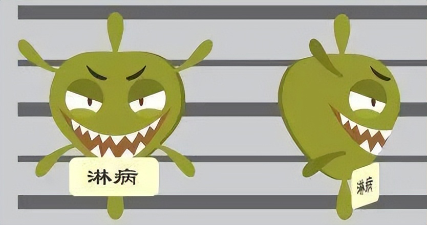 医生提醒：“阿莫西林”别滥用，只对5种病症有效，希望你别用错